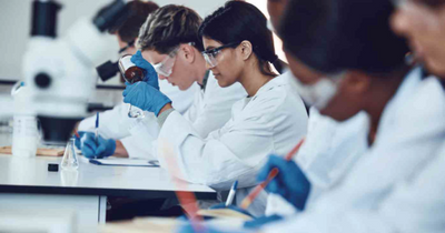 Study Pharmacy at James Cook University