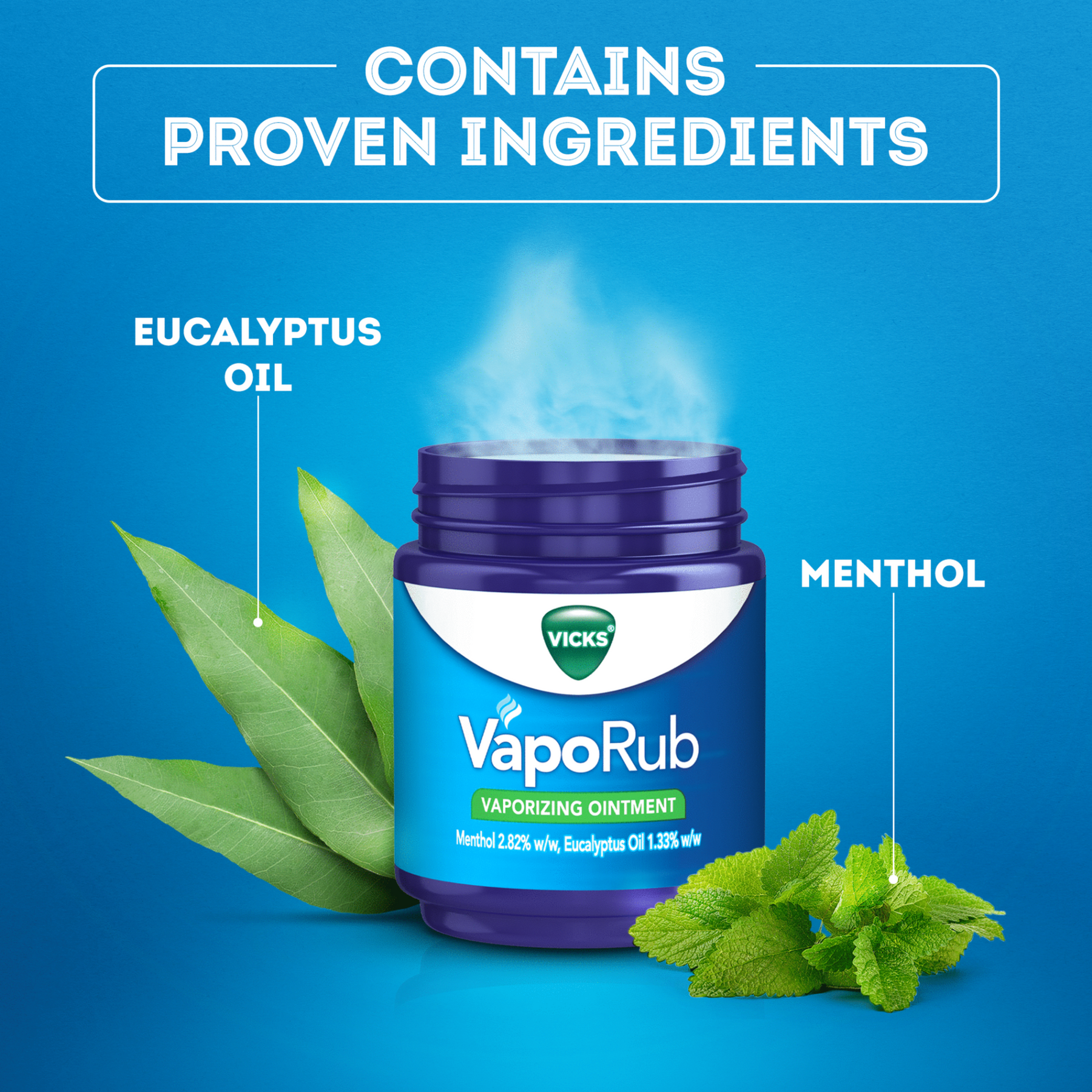 Vicks vaporub inhalation ointment 100 g