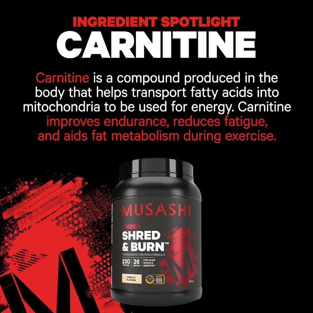 musashi l-carnitine ingredients Fat Metaboliser + Carnitine 60 Capsules Musashi Carnitine 50g Powder