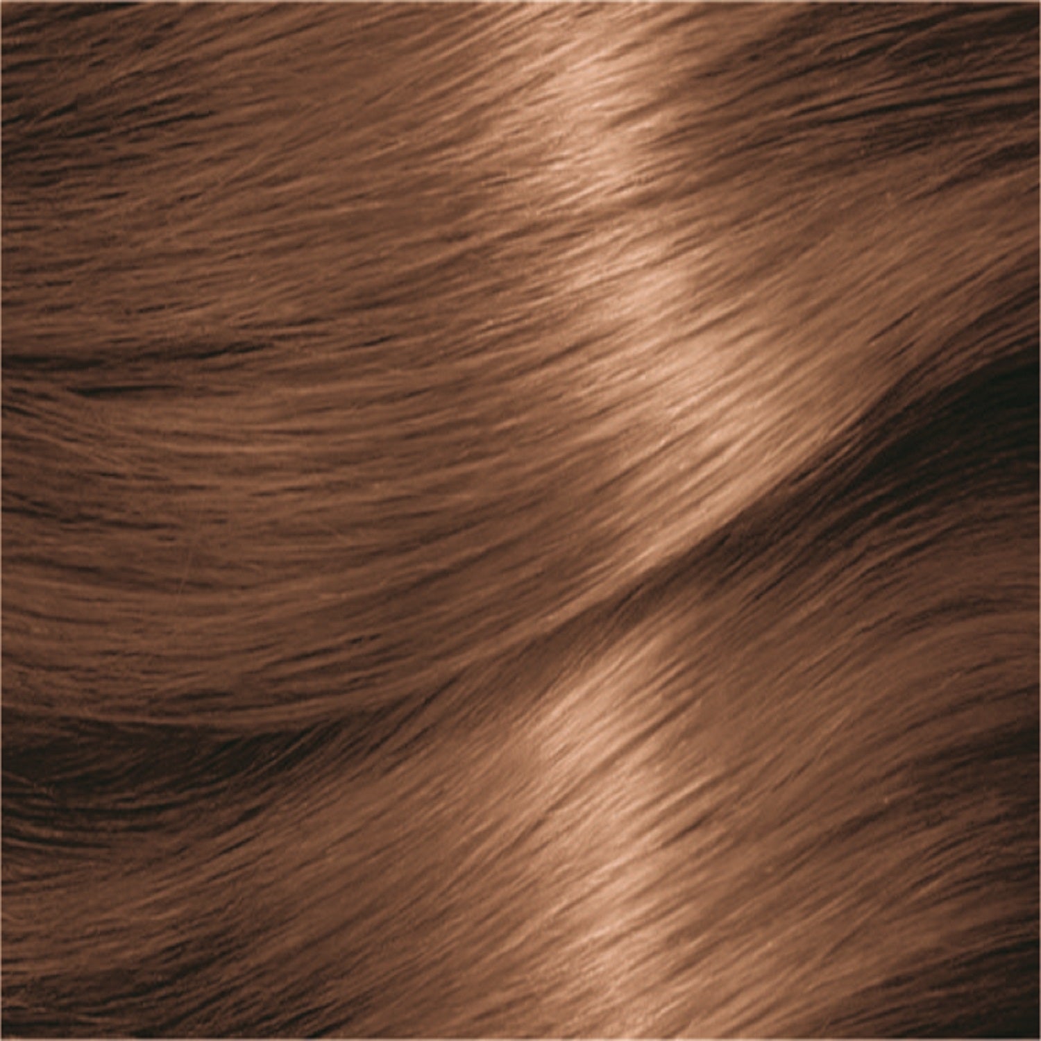 Garnier Hair Color Nutrisse Nourishing Creme, 93 Light Golden Blonde (Honey  Butter) Permanent Hair Dye, 2 Count (Packaging May Vary) in Saudi Arabia |  Whizz Hair Color